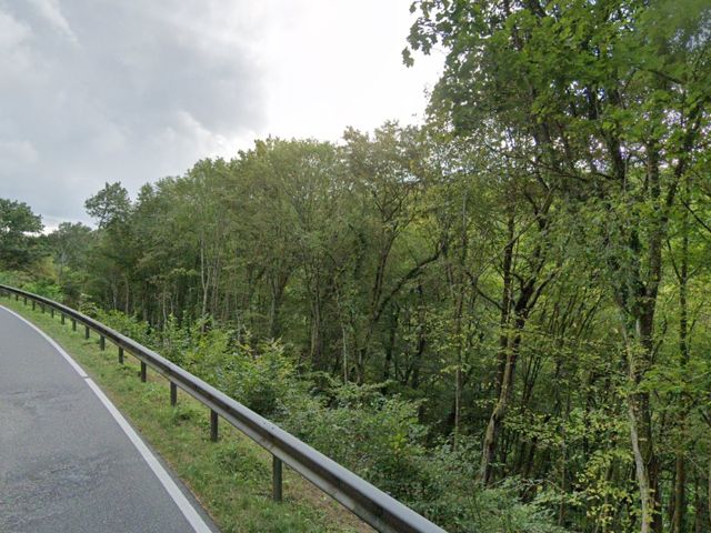 Verkaufsfläche rechts und Umgebung   - Über 1,1 Hektar vertragsfreie Waldfläche **etwa 32 km nördlich vom Trierer Zentrum entfernt**