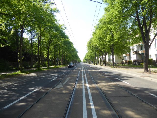 Große Diesdorfer Straße - Innerörtliche Fläche im Wohngebiet an der Großen Diesdorfer Straße**vertragslos genutzt und nicht öffentlich gewidmet**