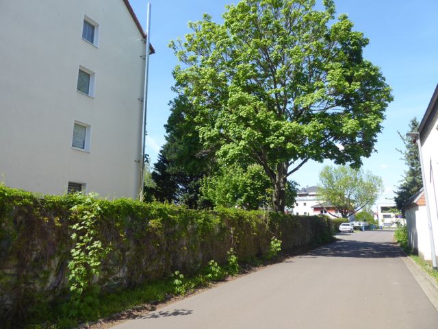 Lage des Verkaufsgegenstandes - Innerörtliche Fläche im Wohngebiet an der Großen Diesdorfer Straße**vertragslos genutzt und nicht öffentlich gewidmet**