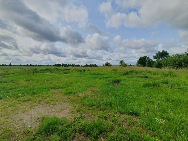 Blick auf Umgebung - Grundstück mit Bauvorbescheid für den Neubau eines Wohngebäudes ca. 13 km von der Hansestadt Wismar an der Ostseeküste entfernt