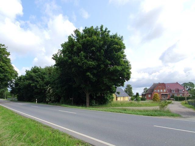 Blick auf Verkaufsfläche und Umgebungsbebauung - Grundstück mit Bauvorbescheid für den Neubau eines Wohngebäudes ca. 13 km von der Hansestadt Wismar an der Ostseeküste entfernt