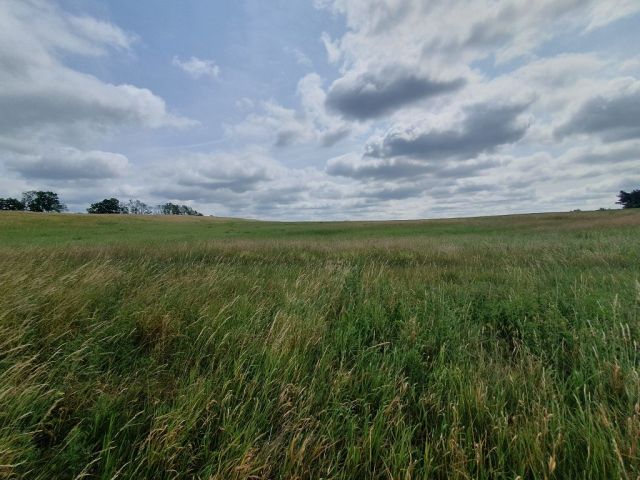 Blick auf Umgebung gegenüber - Großes bis 30.09.2025 verpachtetes Freizeit-/Gartengrundstück in der Sternberger Seenlandschaft