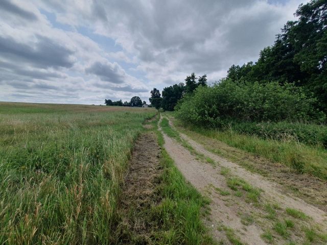 Blick auf Zuwegung und Umgebung - Großes bis 30.09.2025 verpachtetes Freizeit-/Gartengrundstück in der Sternberger Seenlandschaft
