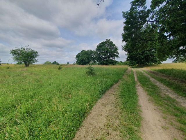 Blick auf Zuwegung und Umgebung - Großes bis 30.09.2025 verpachtetes Freizeit-/Gartengrundstück in der Sternberger Seenlandschaft