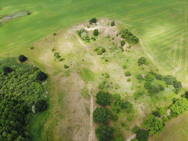 Blick auf Verkaufsfläche und Umgebung - Großes bis 30.09.2025 verpachtetes Freizeit-/Gartengrundstück in der Sternberger Seenlandschaft