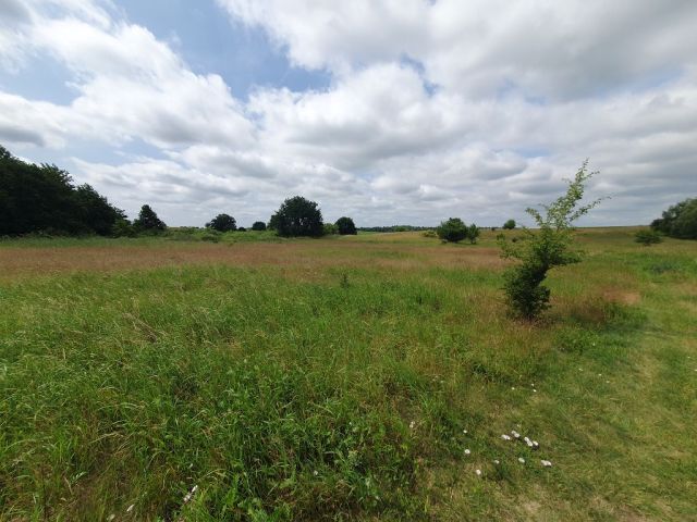 Blick auf Verkaufsfläche und Umgebung - Großes bis 30.09.2025 verpachtetes Freizeit-/Gartengrundstück in der Sternberger Seenlandschaft
