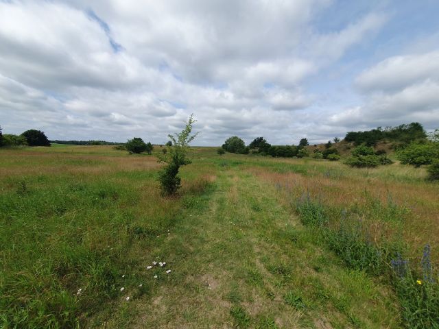 Blick auf Verkaufsfläche und Umgebung - Großes bis 30.09.2025 verpachtetes Freizeit-/Gartengrundstück in der Sternberger Seenlandschaft