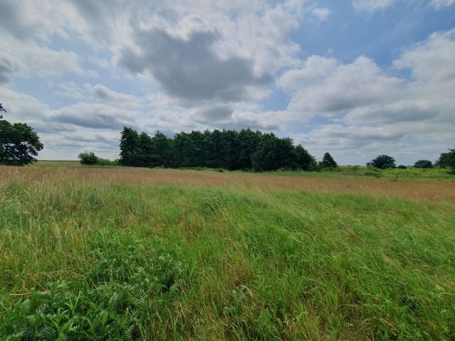 Blick auf Verkaufsfläche und Umgebung - Großes bis 30.09.2025 verpachtetes Freizeit-/Gartengrundstück in der Sternberger Seenlandschaft