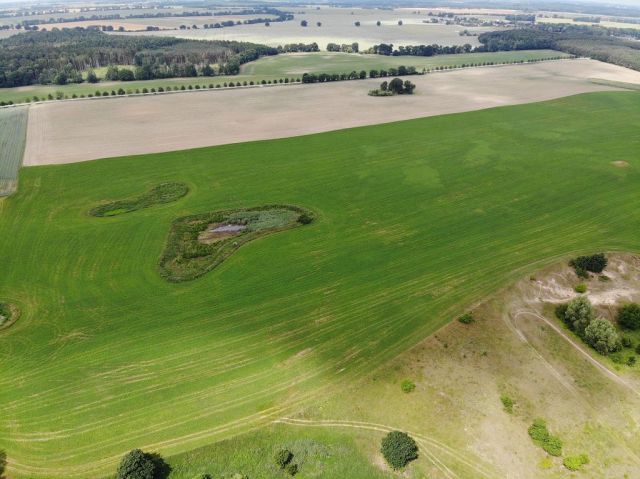 Blick auf Verkaufsfläche und Umgebung - Großes bis 30.09.2025 verpachtetes Freizeit-/Gartengrundstück in der Sternberger Seenlandschaft
