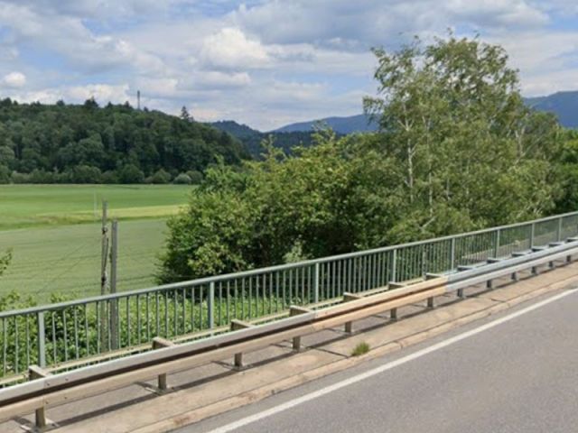 Blick von der L186 auf Verkaufsfläche und die Umgebung - Gehölzfläche an der Rheintalbahn ca. 10 km nördlich von Freiburg im Breisgau