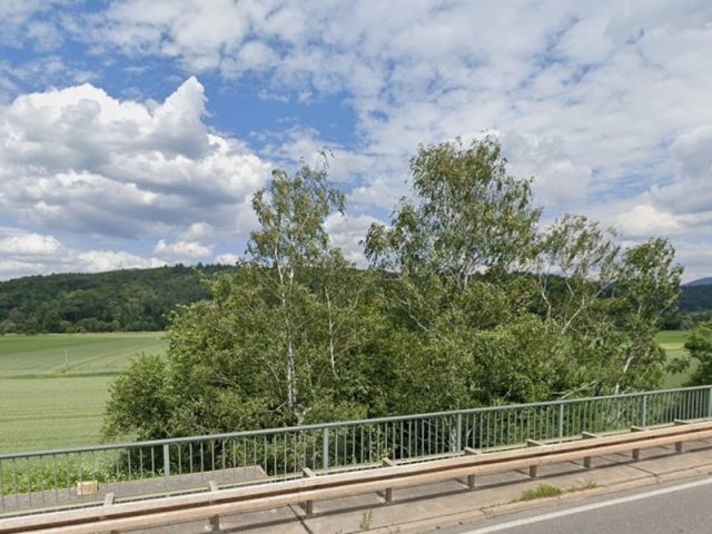 Blick von der L186 auf Verkaufsfläche und die Umgebung - Gehölzfläche an der Rheintalbahn ca. 10 km nördlich von Freiburg im Breisgau