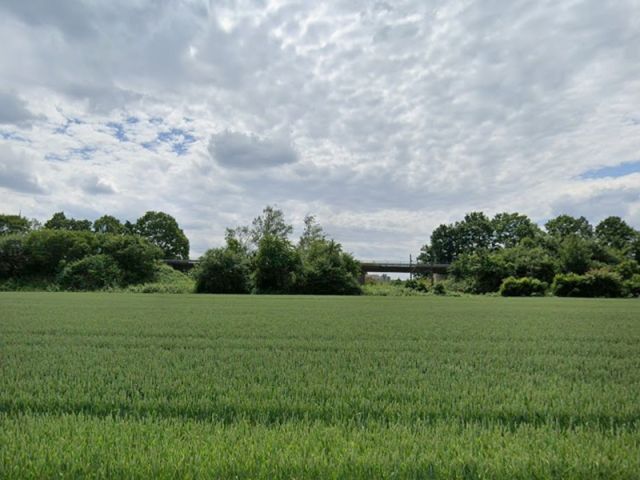 Blick von der Straße Am Hofacker Richtung Verkaufsfläche und auf die Umgebung - Gehölzfläche an der Rheintalbahn ca. 10 km nördlich von Freiburg im Breisgau