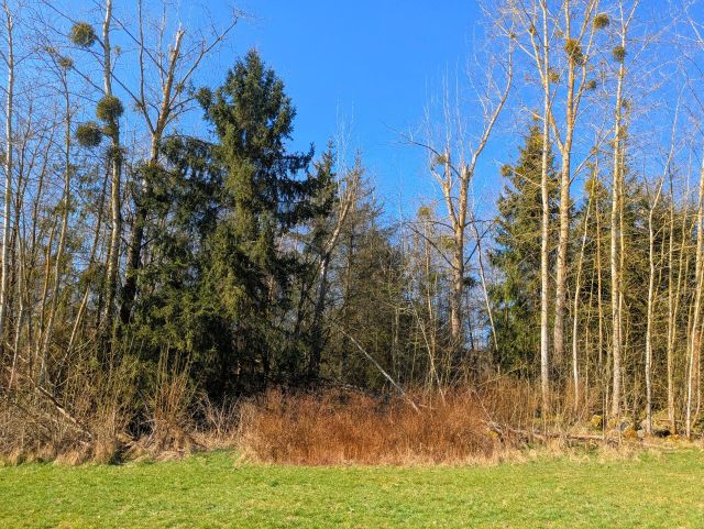 Verkaufsgegenstand - Wald- und Landwirtschaftsfläche **vertragslose Grünlandnutzung**