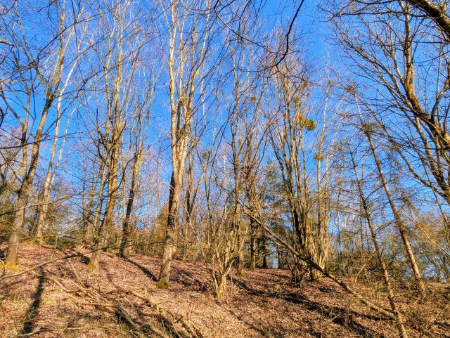 Verkaufsgegenstand - Wald- und Landwirtschaftsfläche **vertragslose Grünlandnutzung**
