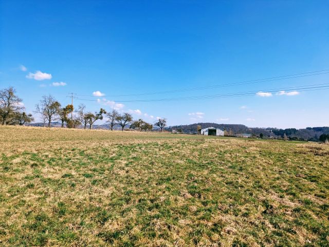 Umgebung - Wald- und Landwirtschaftsfläche **vertragslose Grünlandnutzung**