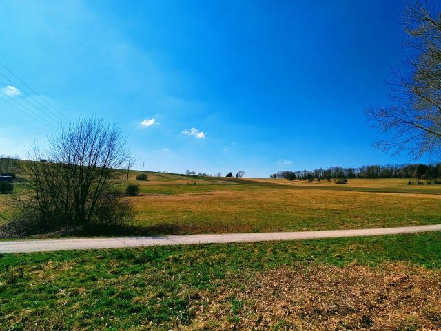 Umgebung - Wald- und Landwirtschaftsfläche **vertragslose Grünlandnutzung**