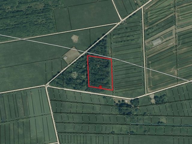 Lage des Verkaufsgegenstandes - Wald- und Landwirtschaftsfläche **vertragslose Grünlandnutzung**