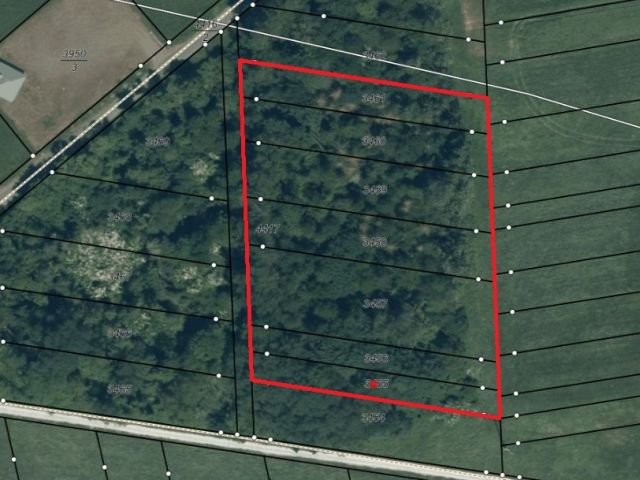 Wald- und Landwirtschaftsfläche **vertragslose Grünlandnutzung**