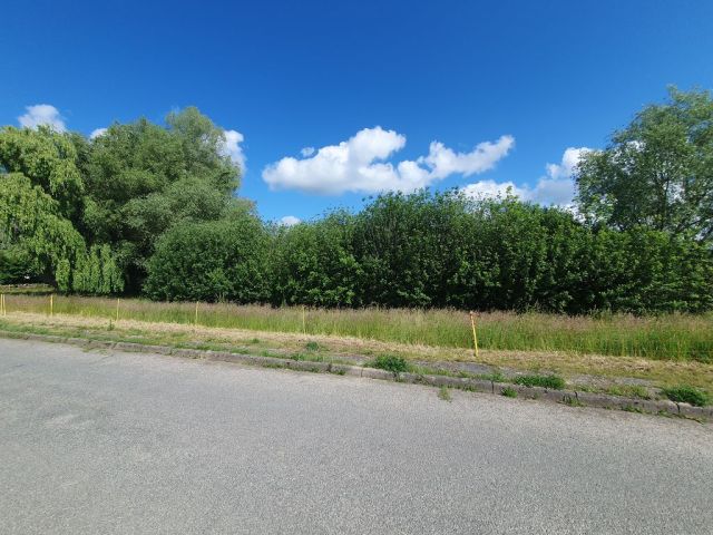Blick auf Verkaufsfläche und Umgebung - Grundstück mit ca. 75 m Uferfront  am Kavelsdorfer See und neben Wohnbebauung * ca. 35 km südlich vom Darß