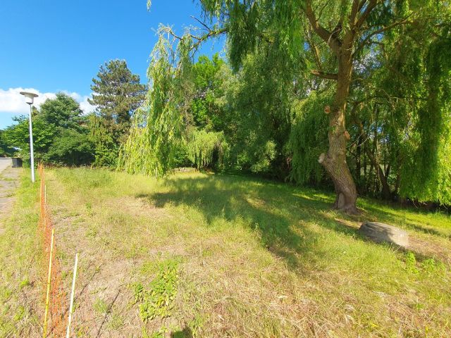 Blick auf Verkaufsfläche und Umgebung - Grundstück mit ca. 75 m Uferfront  am Kavelsdorfer See und neben Wohnbebauung * ca. 35 km südlich vom Darß
