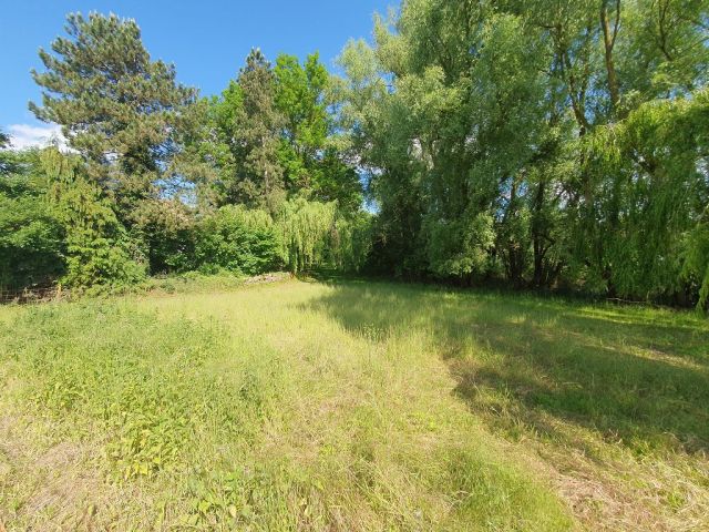 Blick auf Verkaufsfläche und Umgebung - Grundstück mit ca. 75 m Uferfront  am Kavelsdorfer See und neben Wohnbebauung * ca. 35 km südlich vom Darß