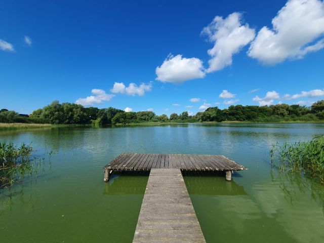 Blick auf den Kavelsdorfer See - Grundstück mit ca. 75 m Uferfront  am Kavelsdorfer See und neben Wohnbebauung * ca. 35 km südlich vom Darß