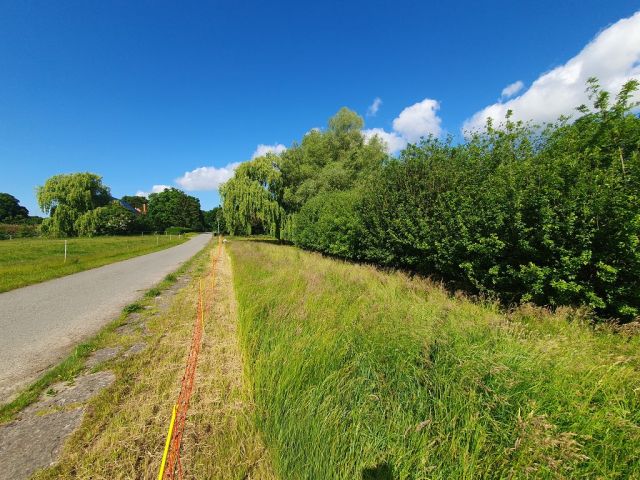 Blick auf Verkaufsfläche und Umgebung - Grundstück mit ca. 75 m Uferfront  am Kavelsdorfer See und neben Wohnbebauung * ca. 35 km südlich vom Darß