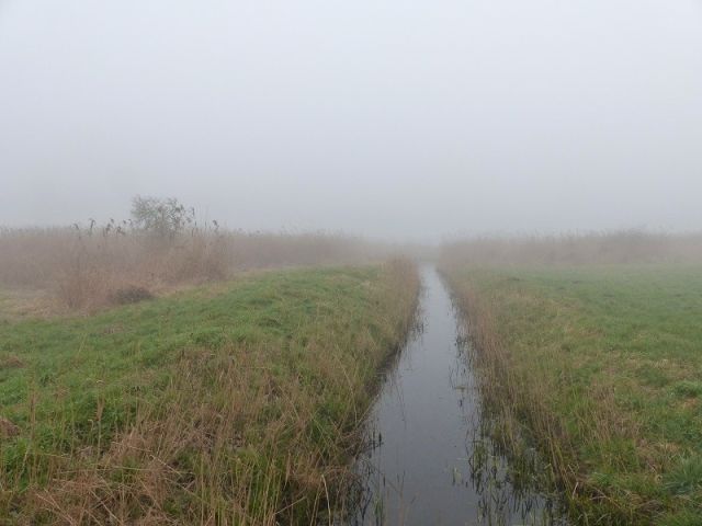  Blick auf Umgebung und Südspitze Sacksee mit Zulauf - Über 2,2 ha Wasserfläche und Uferbereich des ´Sacksees´ in der Uckermark