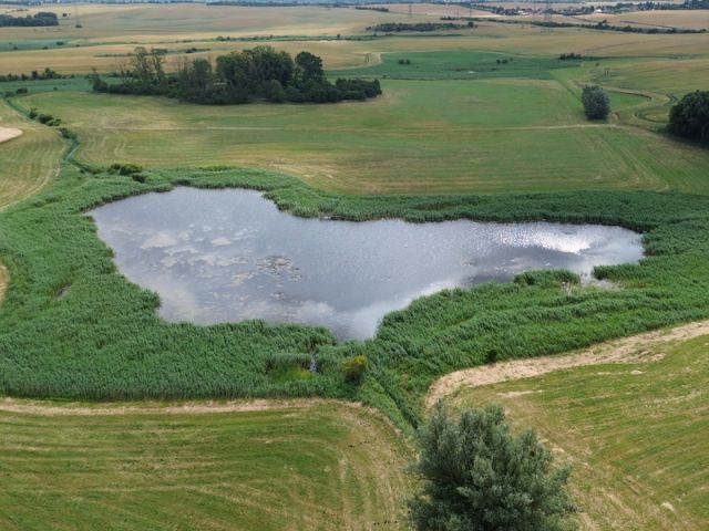 Blick auf Verkaufsgegenstand und Umgebung - Über 2,2 ha Wasserfläche und Uferbereich des ´Sacksees´ in der Uckermark