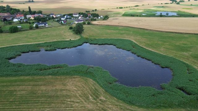 Blick auf Verkaufsobjekt und Umgebung - Über 2,2 ha Wasserfläche und Uferbereich des ´Sacksees´ in der Uckermark