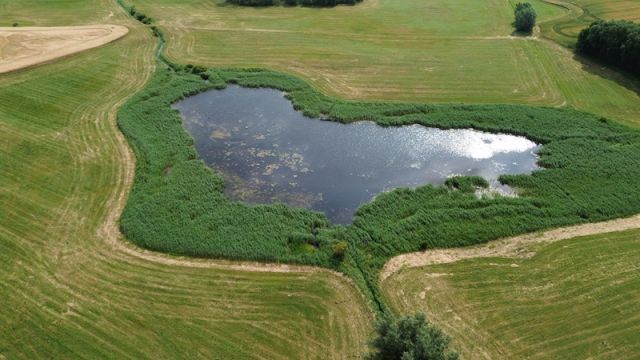 Über 2,2 ha Wasserfläche und Uferbereich des ´Sacksees´ in der Uckermark