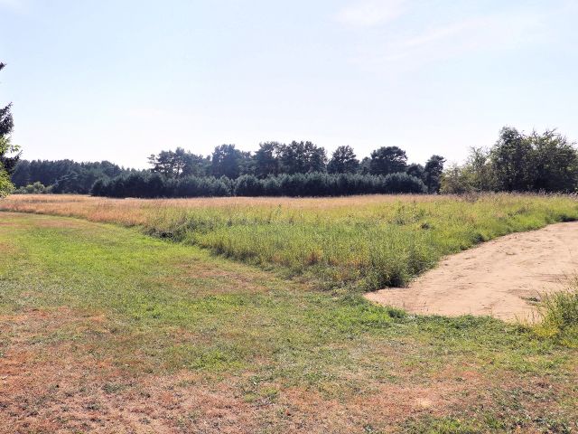 Blick Richtung Verkaufsfläche und Umgebung - Vertragsfreies Grundstück unweit vom Peenestrom **etwa 25 km von der Ostsee entfernt**