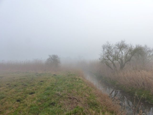 Blick auf Langer See Ostseite Höhe Zulauf - Über 1,2 ha Wasserfläche und Uferbereich ´Der lange See´ in der Uckermark