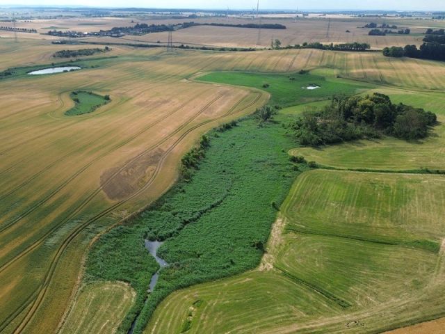 Blick auf Verkaufsobjekt und Umgebung - Über 1,2 ha Wasserfläche und Uferbereich ´Der lange See´ in der Uckermark