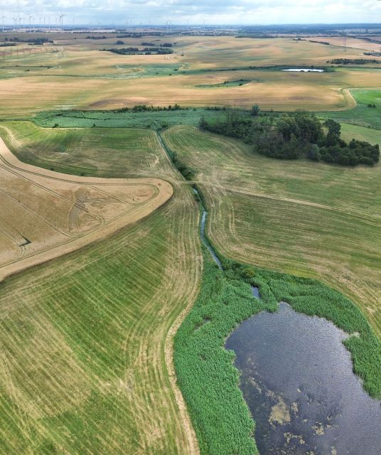 Blick auf Umgebung und Zulauf Richtung Verkaufsgegenstand - Über 1,2 ha Wasserfläche und Uferbereich ´Der lange See´ in der Uckermark