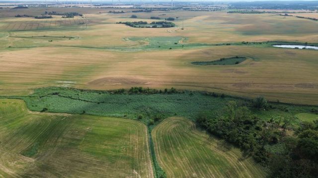 Blick auf Verkaufsobjekt und Umgebung - Über 1,2 ha Wasserfläche und Uferbereich ´Der lange See´ in der Uckermark