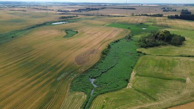 Blick auf Verkaufsobjekt und Umgebung - Über 1,2 ha Wasserfläche und Uferbereich ´Der lange See´ in der Uckermark