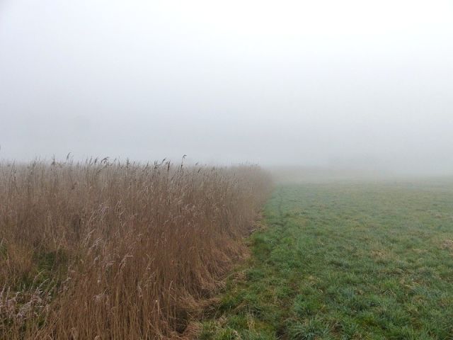 Blick entlang Südgrenze Flurstück 134 Richtung Ost - Wasserfläche und Uferbereich ´Der runde See´ in der Uckermark