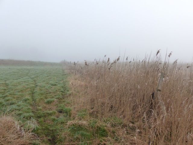 Blick entlang Südgrenze Flurstück 134 - Wasserfläche und Uferbereich ´Der runde See´ in der Uckermark