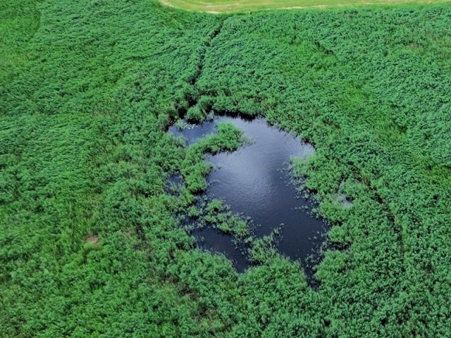 Blick auf Verkaufsobjekt und Umgebung - Wasserfläche und Uferbereich ´Der runde See´ in der Uckermark