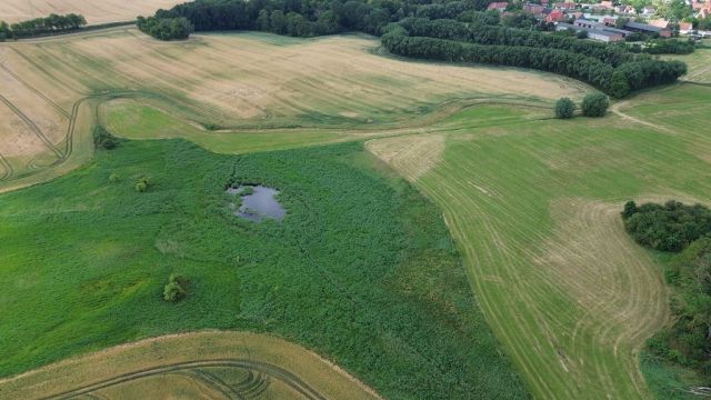 Blick auf Verkaufsobjekt und Umgebung - Wasserfläche und Uferbereich ´Der runde See´ in der Uckermark
