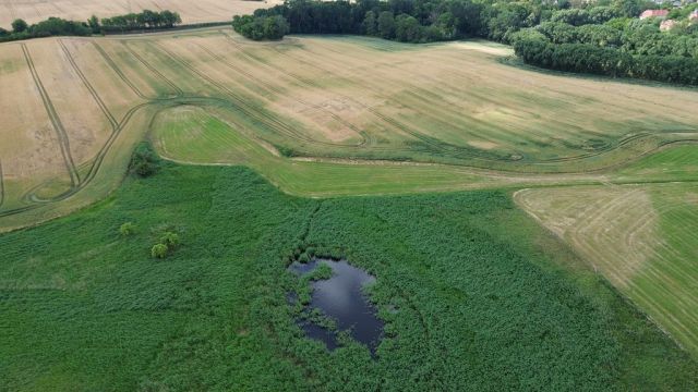 Blick auf Verkaufsobjekt und Umgebung - Wasserfläche und Uferbereich ´Der runde See´ in der Uckermark