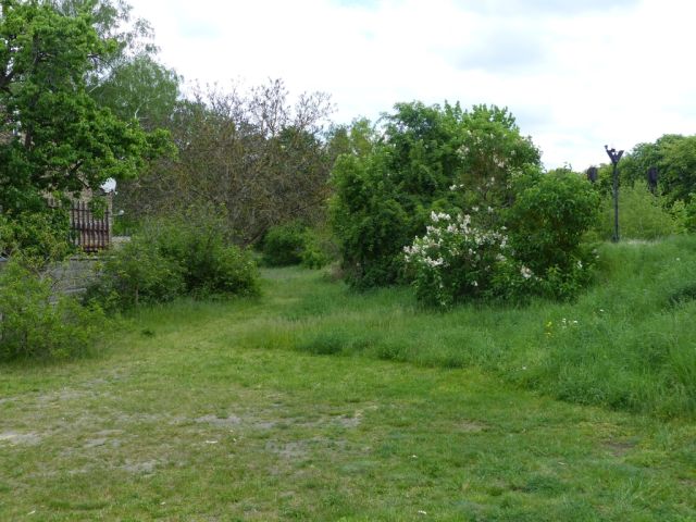 Blick auf Verkaufsfläche und Umgebung - Vertragsfreies Grundstück lt. FNP teilweise Wohnbaufläche im südlichen ´Berliner Speckgürtel´