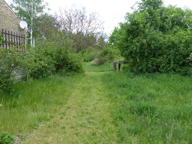 Blick auf Verkaufsfläche und Umgebung - Vertragsfreies Grundstück lt. FNP teilweise Wohnbaufläche im südlichen ´Berliner Speckgürtel´