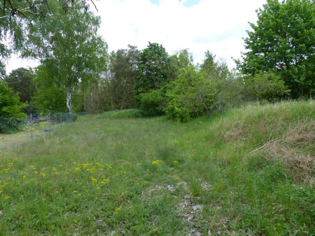 Blick auf Verkaufsfläche und Umgebung - Vertragsfreies Grundstück lt. FNP teilweise Wohnbaufläche im südlichen ´Berliner Speckgürtel´