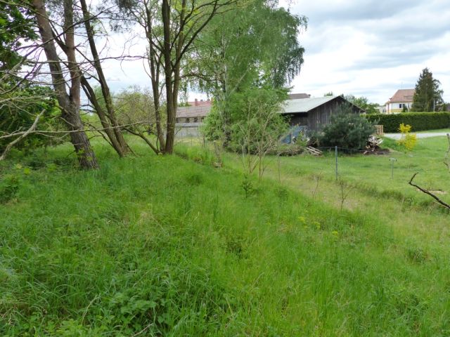 Blick auf Verkaufsfläche und Umgebung - Vertragsfreies Grundstück lt. FNP teilweise Wohnbaufläche im südlichen ´Berliner Speckgürtel´