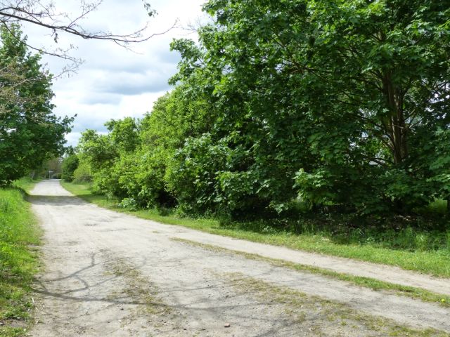 Blick auf Verkaufsfläche rechts und Umgebung - Vertragsfreies Grundstück lt. FNP teilweise Wohnbaufläche im südlichen ´Berliner Speckgürtel´