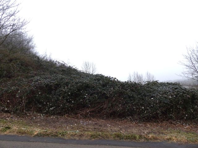 Blick auf die Verkaufsfläche - Vertragsfreies Grundstück **ca. 34 km vom Stadtzentrum von Frankfurt am Main entfernt**