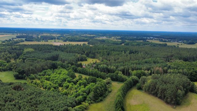Lage des Verkaufsgegenstandes - 23,6 ha große Waldfläche nebst Wohngebäude, Garage und Scheune **vertragsfrei**