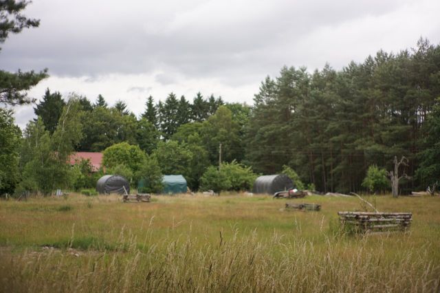 Blick auf die Obstwiese (Richtung Nord) - 23,6 ha große Waldfläche nebst Wohngebäude, Garage und Scheune **vertragsfrei**